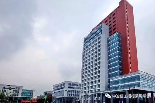 四冶柏芷山国际度假公园酒店商业街园林景观工程劳务分包 综合解析